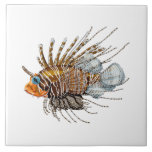 Lion fish ceramic tile<br><div class="desc">Decorate your home or beach house with a nautical themed design. This lion fish tile is great for framing or use in a DIY design project. Change the background color to match your project.</div>