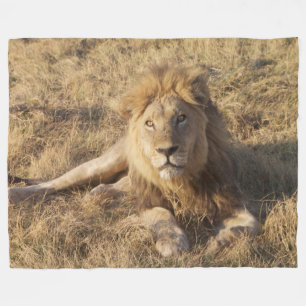 Lion fleece blanket