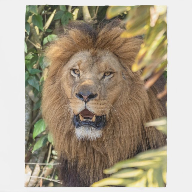 Lion Fleece Blanket (Front)