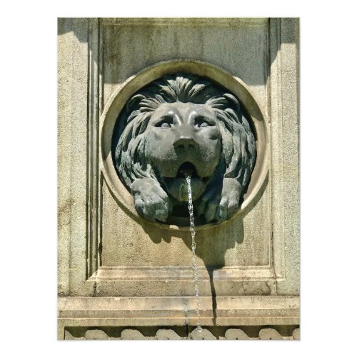 Lion Fountain in Vienna Austria Photo Print