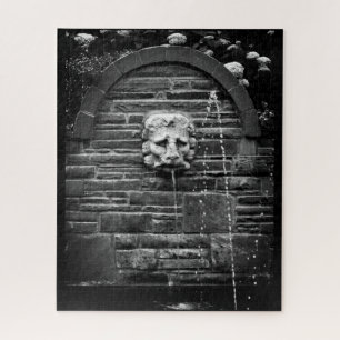 Lion Fountain Jigsaw Puzzle