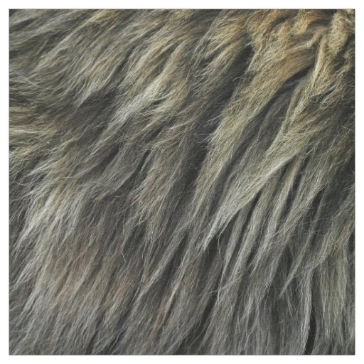 Lion Fur Fabric