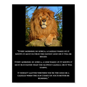 Lion & Gazelle African Quote Poster
