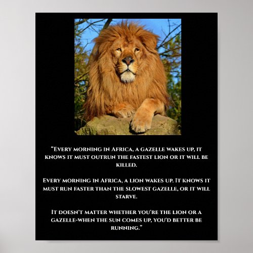 Lion  Gazelle African Quote Poster