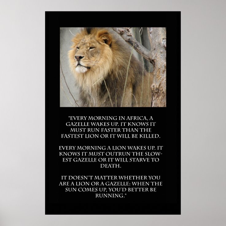 Lion Gazelle Running Quote Poster | Zazzle