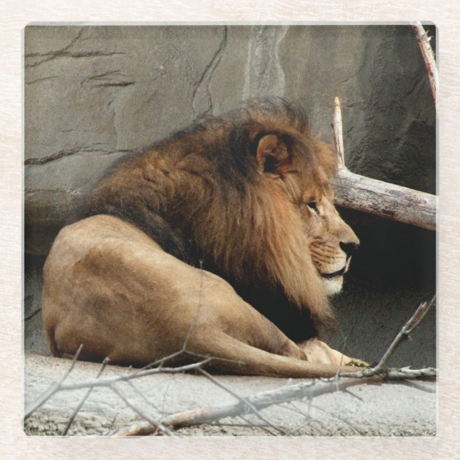Lion Glass Coaster (Front)