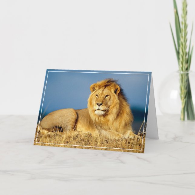 Lion Greeting Card (Front)