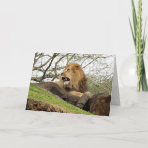 Lion Greeting Card (0356)