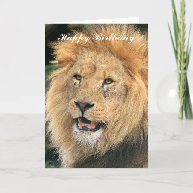 Lion head male beautiful photo happy birthday card | Zazzle