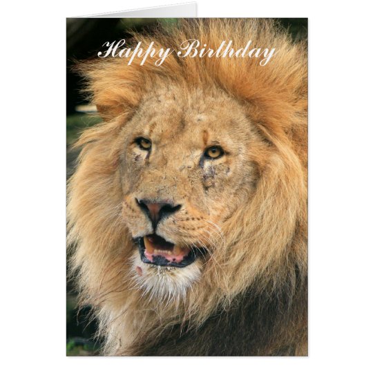 template 6 x greeting 4 card Lion happy card beautiful birthday head photo male