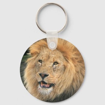 Lion Head Male Beautiful Photo Keychain  Gift Keychain by roughcollie at Zazzle