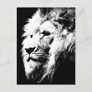 Lion Head Modern Black & White Pop Art Picture Postcard