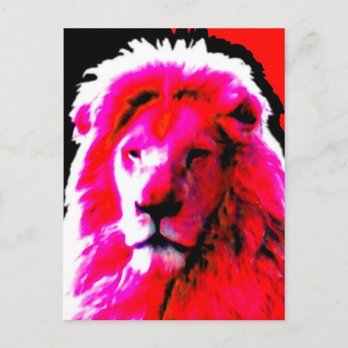 Lion Head Pink postcard