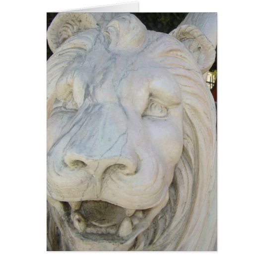 Lion Head Statue Cards (Front)