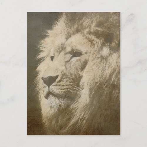 Lion Head The King Modern Pop Art Template Animal Postcard