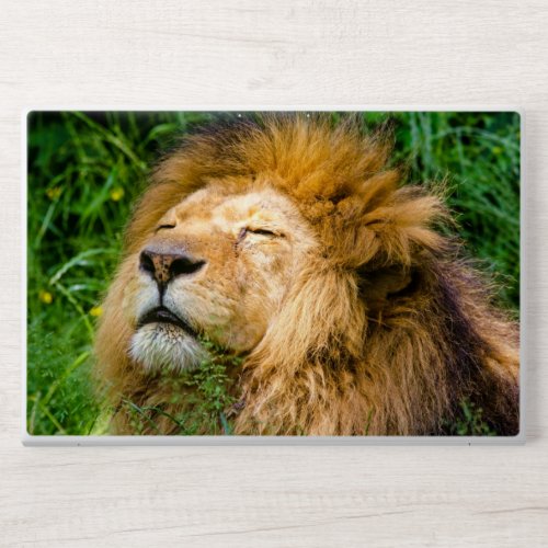 Lion HP Laptop Skin