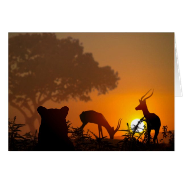 Lion Hunt Cards (Front Horizontal)