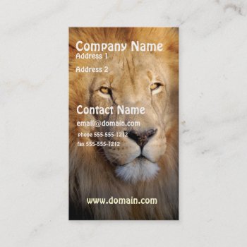 Lion Image Business Card by WildlifeAnimals at Zazzle