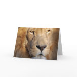 Lion Images Greeting Card