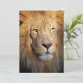 Lion Images Invitation (Standing Front)