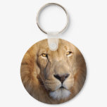 Lion Images Keychain