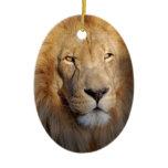 Lion Images Ornament