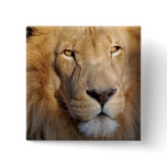 Lion Images Square Pin