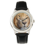 Lion Images Watch