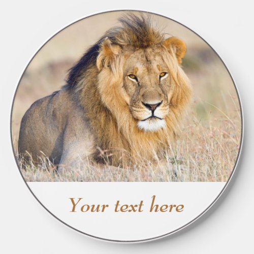Lion in Africa wildlife Big Cat personalized text Wireless Charger