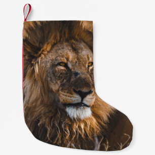 LION IN ETOSHA NATIONAL PARK SMALL CHRISTMAS STOCKING