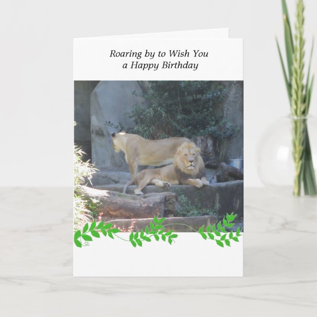 Lion in the Den Birthday Greeting Card (Front)