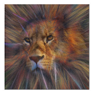 Lion in the Gallery Acrylic Wall Art
