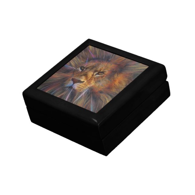 Lion in the Gallery Gift Box (Side)