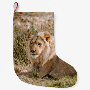 LION IN THE GRASS SMALL CHRISTMAS STOCKING