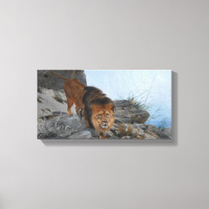 Lion in the Mountains (by Richard Friese) Canvas Print