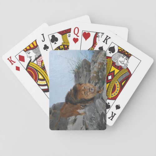 Lion in the Mountains by Richard Friese Playing Cards