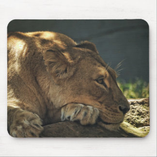 Lion in the Shade Mousepad
