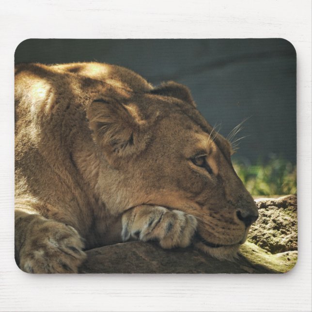 Lion in the Shade Mousepad (Front)