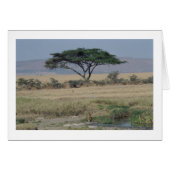 Lion in the Water (Front Horizontal)