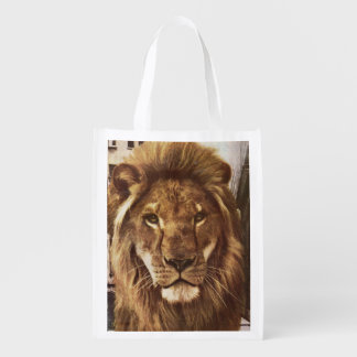 lion in town grocery bag