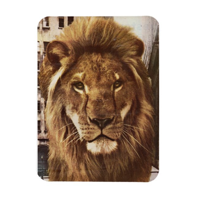 lion in town magnet (Vertical)
