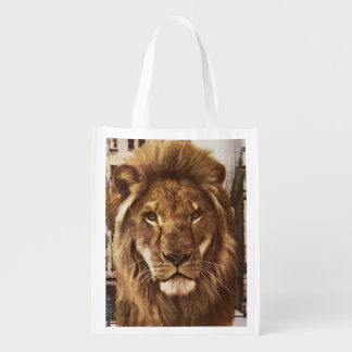 lion in town reusable grocery bag