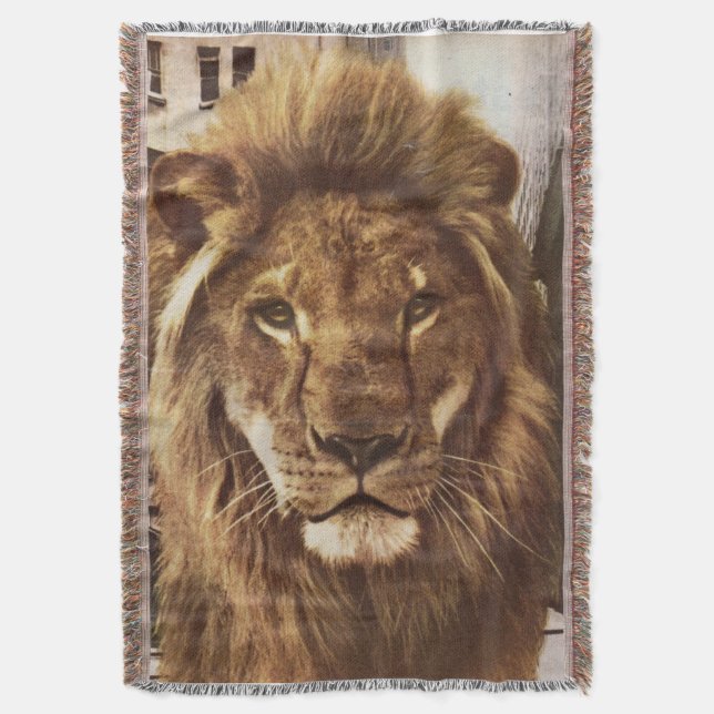 lion in town throw blanket (Front Vertical)
