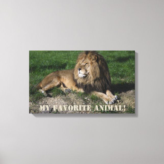 Lion is My Favorite Animal! Canvas Print (Front)