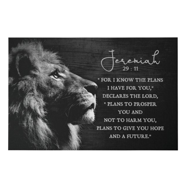 Lion Jeremiah 29:11 Inspirational & Motivational Faux Canvas Print (Front)