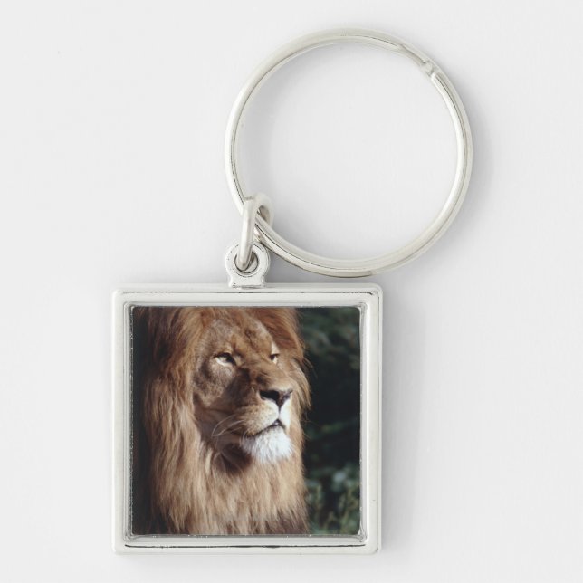 lion keychain (Front)