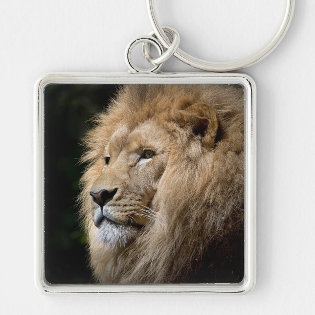Lion Keychain (Front)