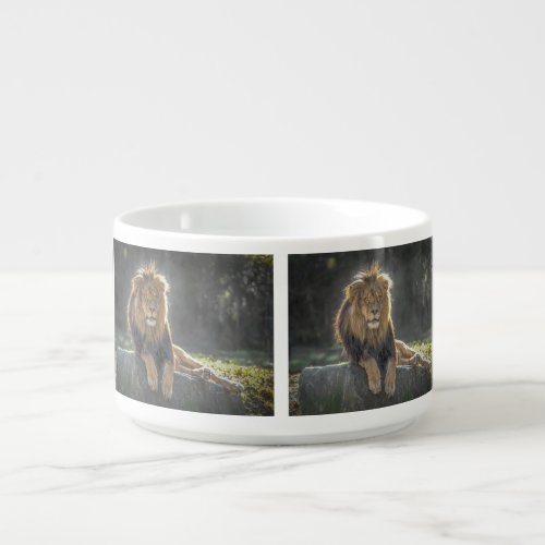 Lion King Bowl