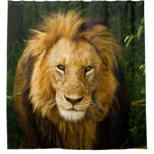 LION KING IN THE JUNGLE SHOWER CURTAIN