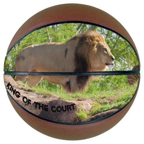 Lion King of the Basketball Court
